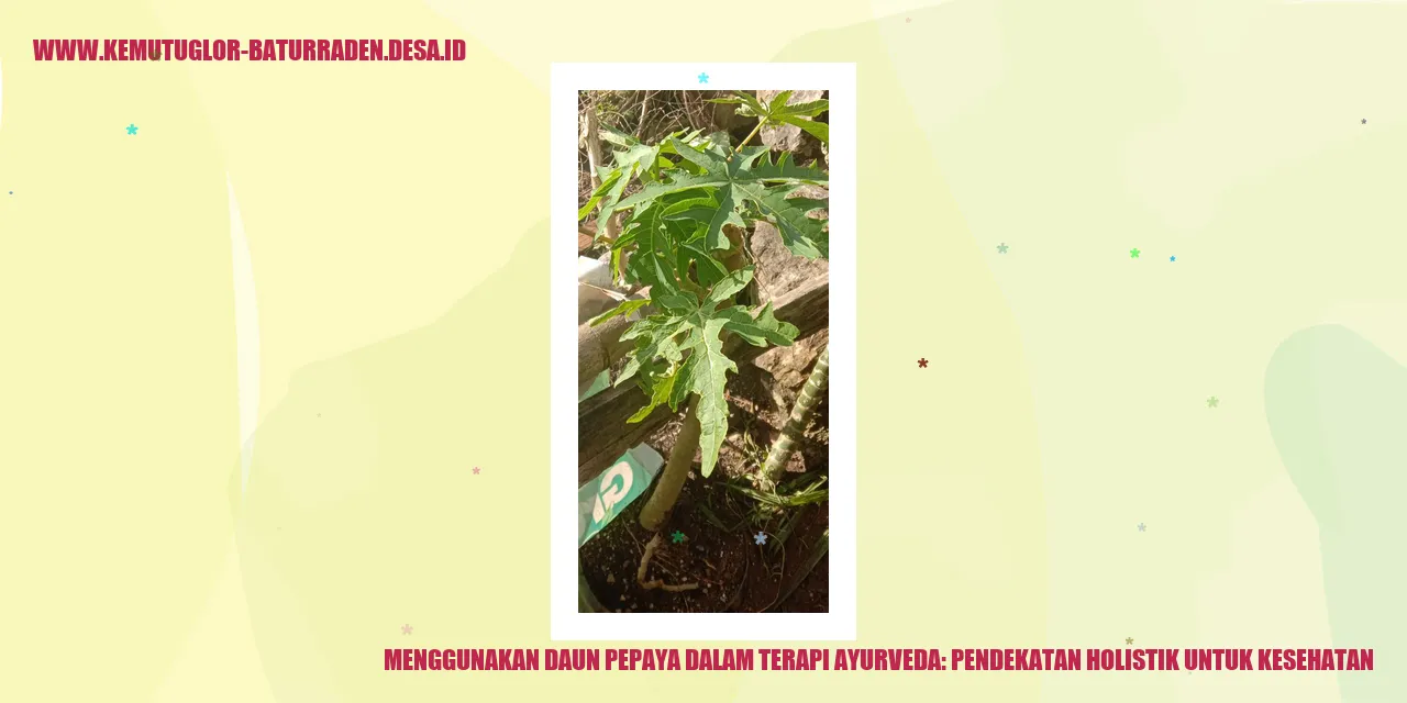 Gambar Teh Daun Pepaya
