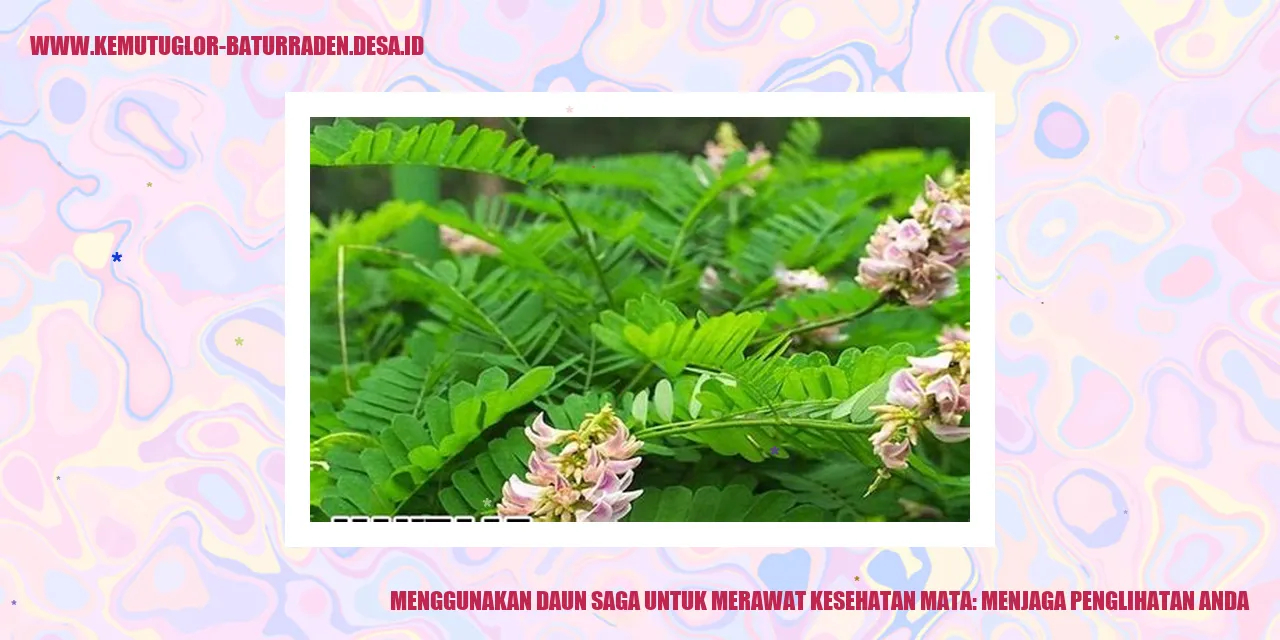 Daun Saga