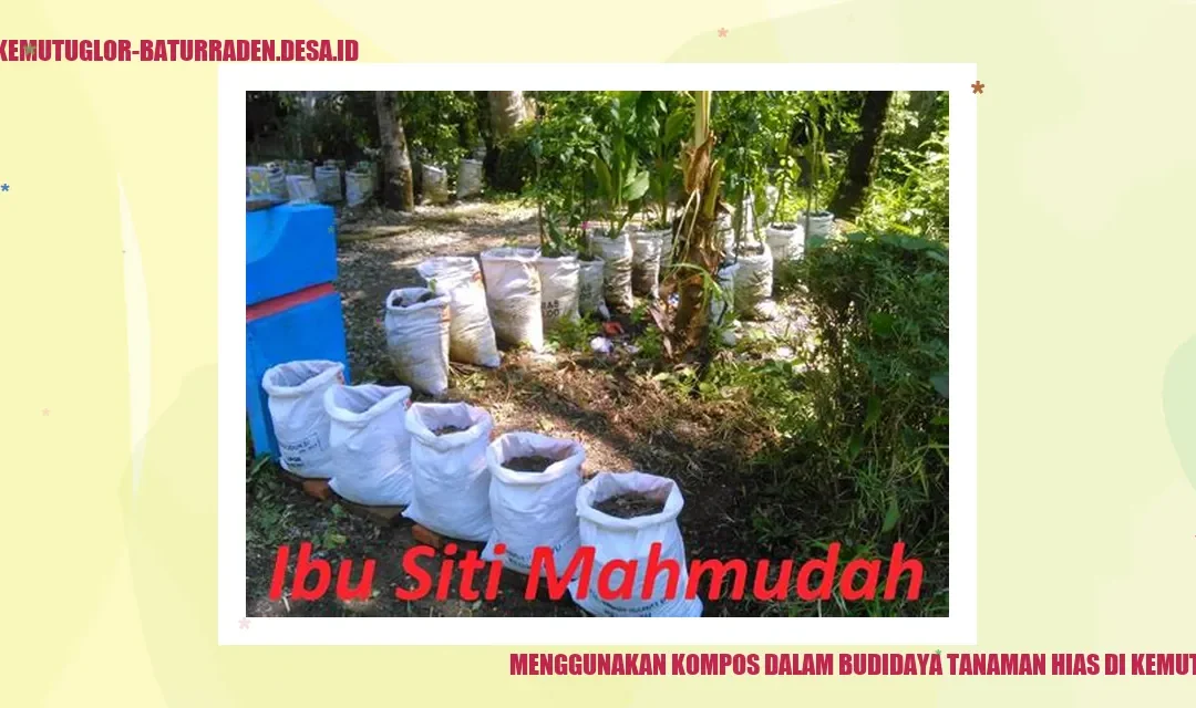 Menggunakan Kompos dalam Budidaya Tanaman Hias di Kemutug Lor