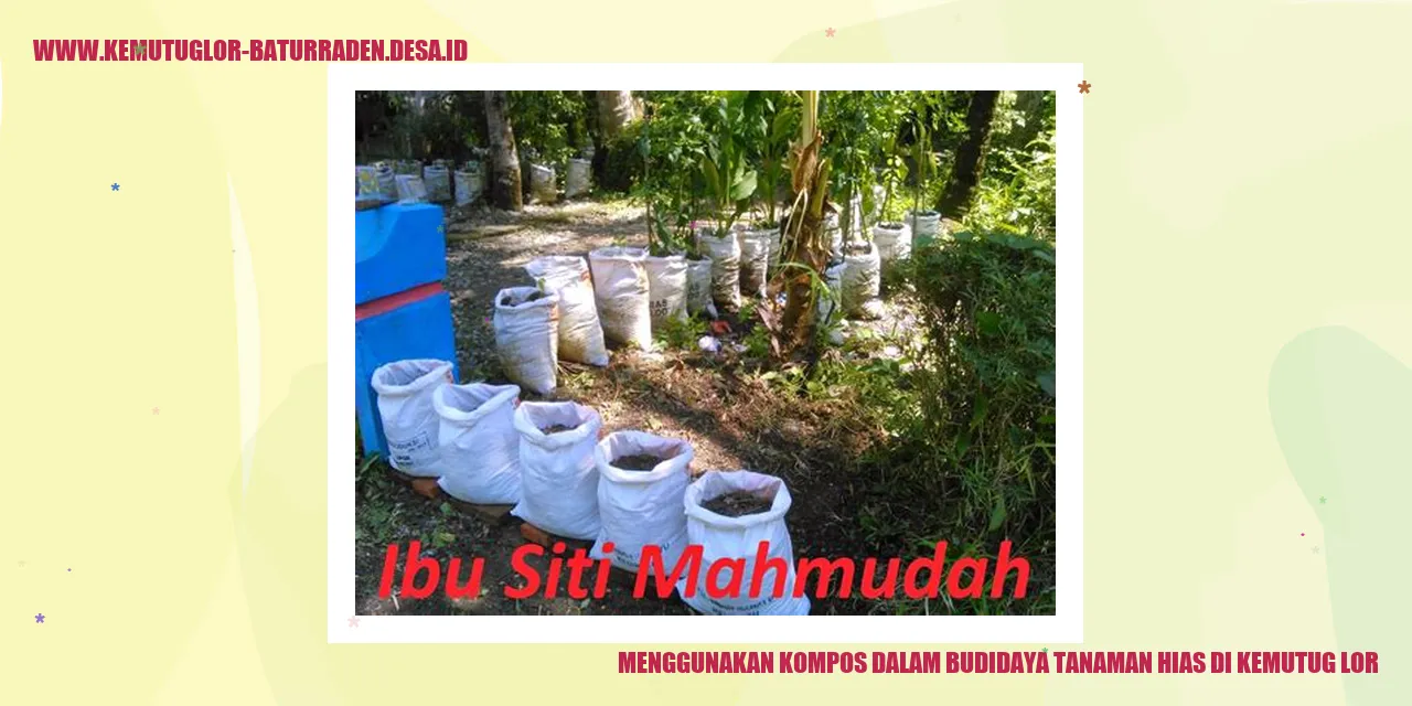 Menggunakan Kompos dalam Budidaya Tanaman Hias di Kemutug Lor