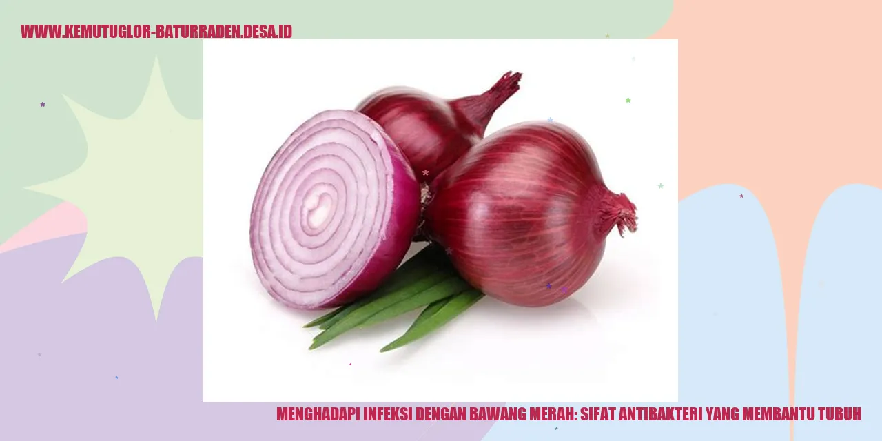 Bawang Merah