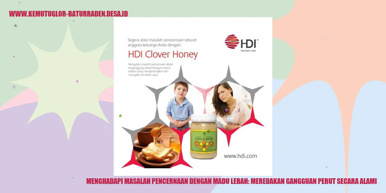 madu-lebah