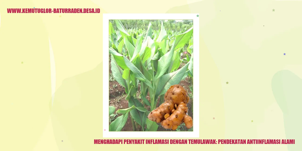 Temulawak