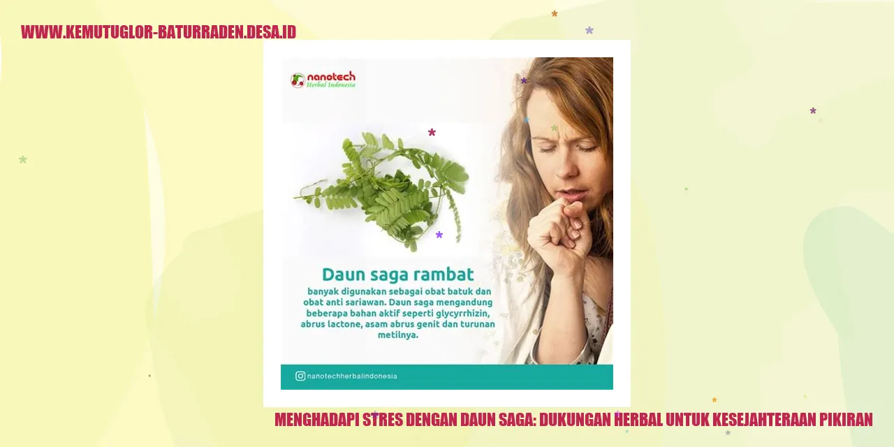 Daun Saga