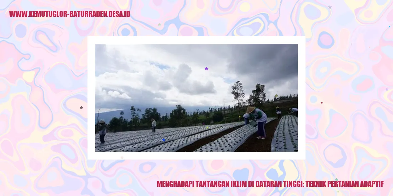 Menghadapi Tantangan Iklim di Dataran Tinggi: Teknik Pertanian Adaptif