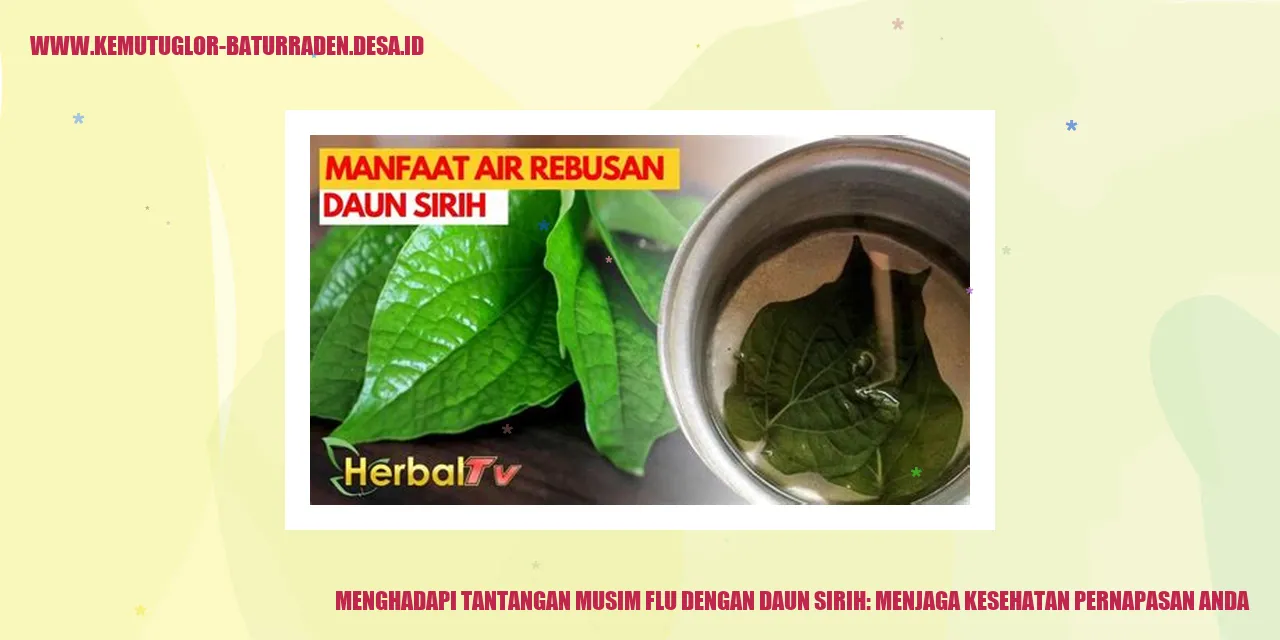 Daun Sirih
