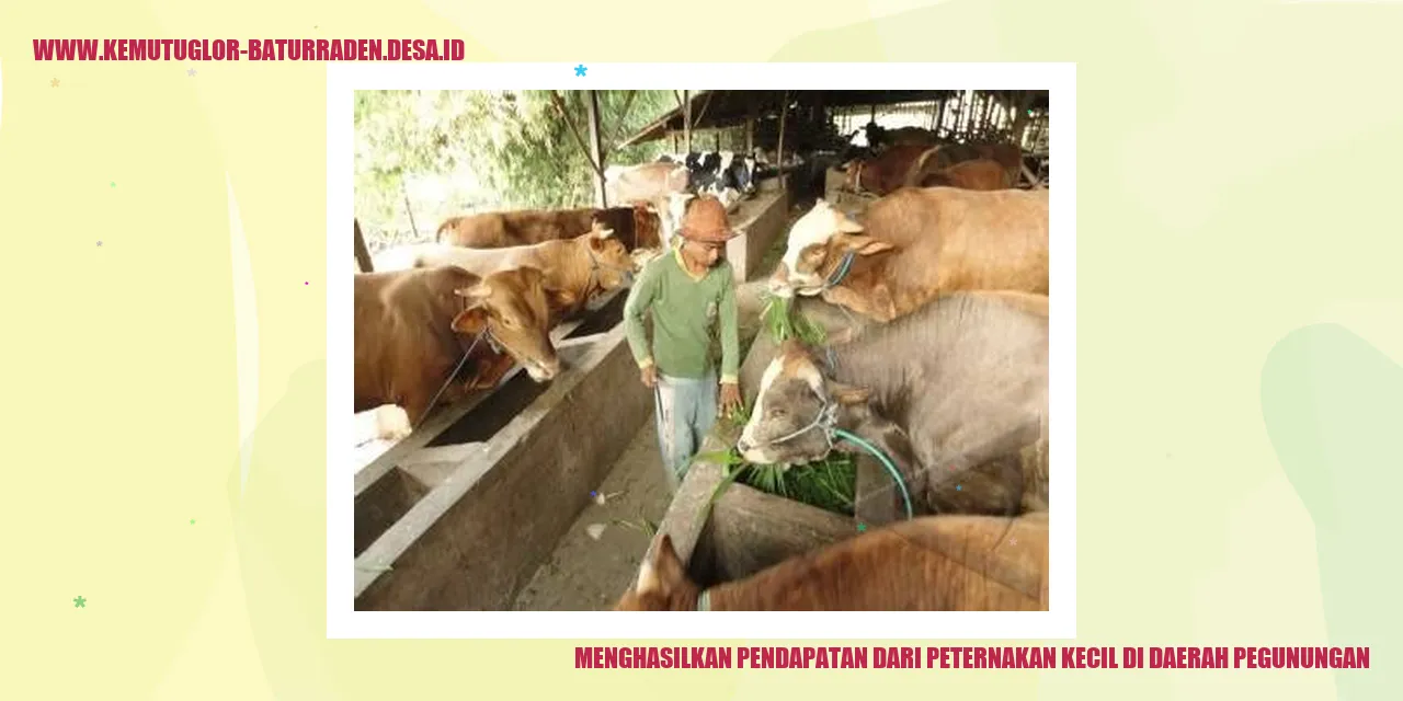 Peternakan Ayam