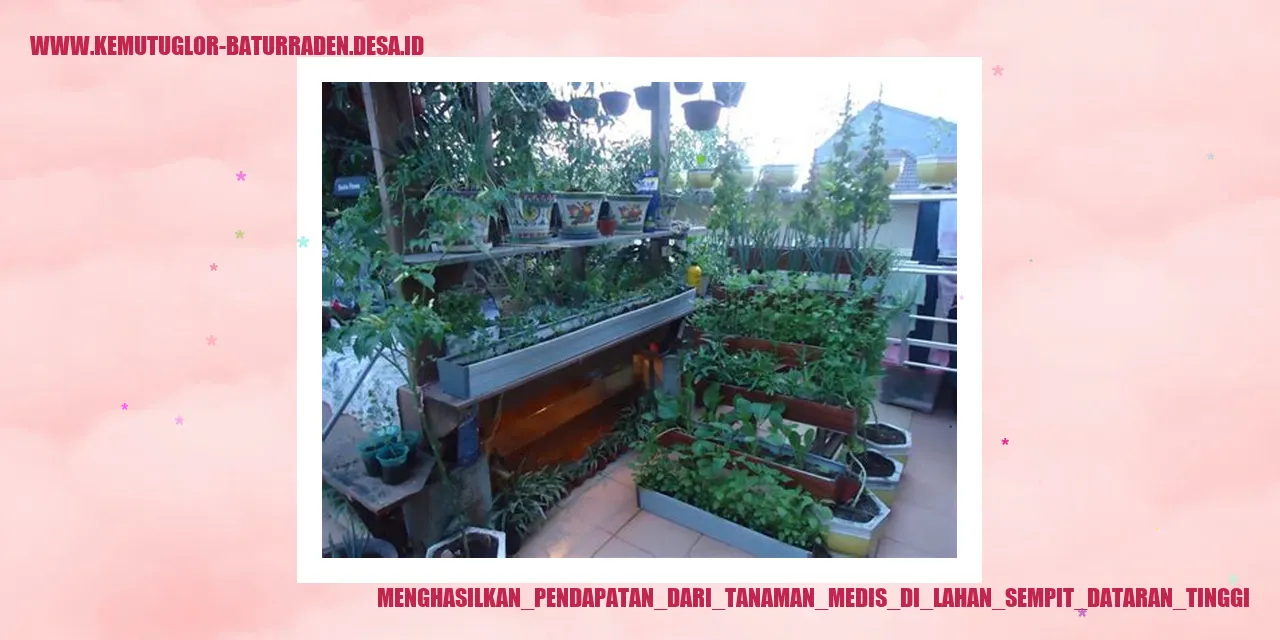 Daun Sirsak