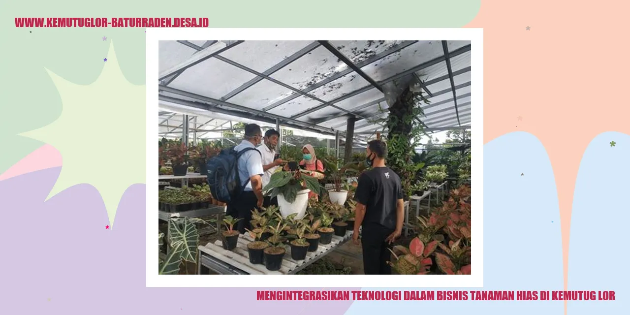 Gambar Tanaman Hias di Kemutug Lor