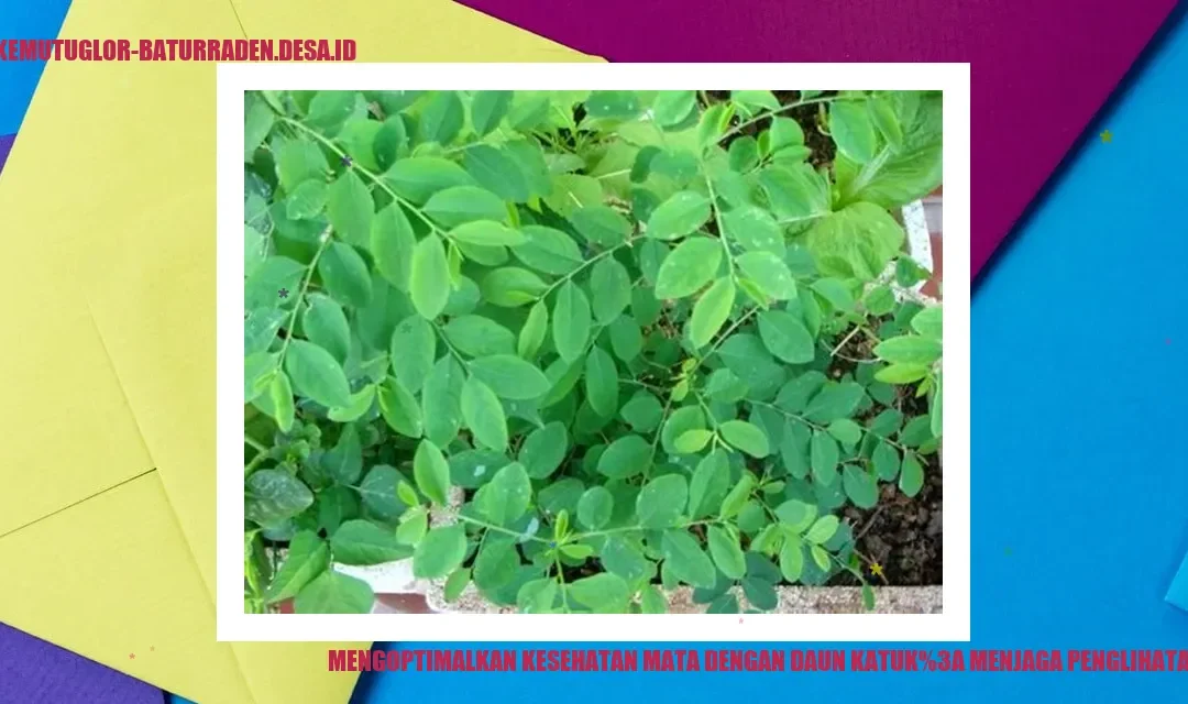 Mengoptimalkan Kesehatan Mata dengan Daun Katuk: Menjaga Penglihatan Anda