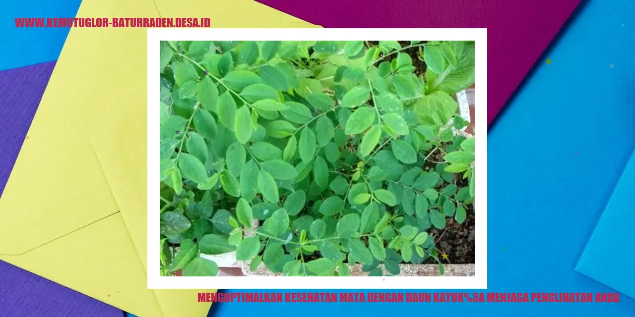 Mengoptimalkan Kesehatan Mata dengan Daun Katuk: Menjaga Penglihatan Anda
