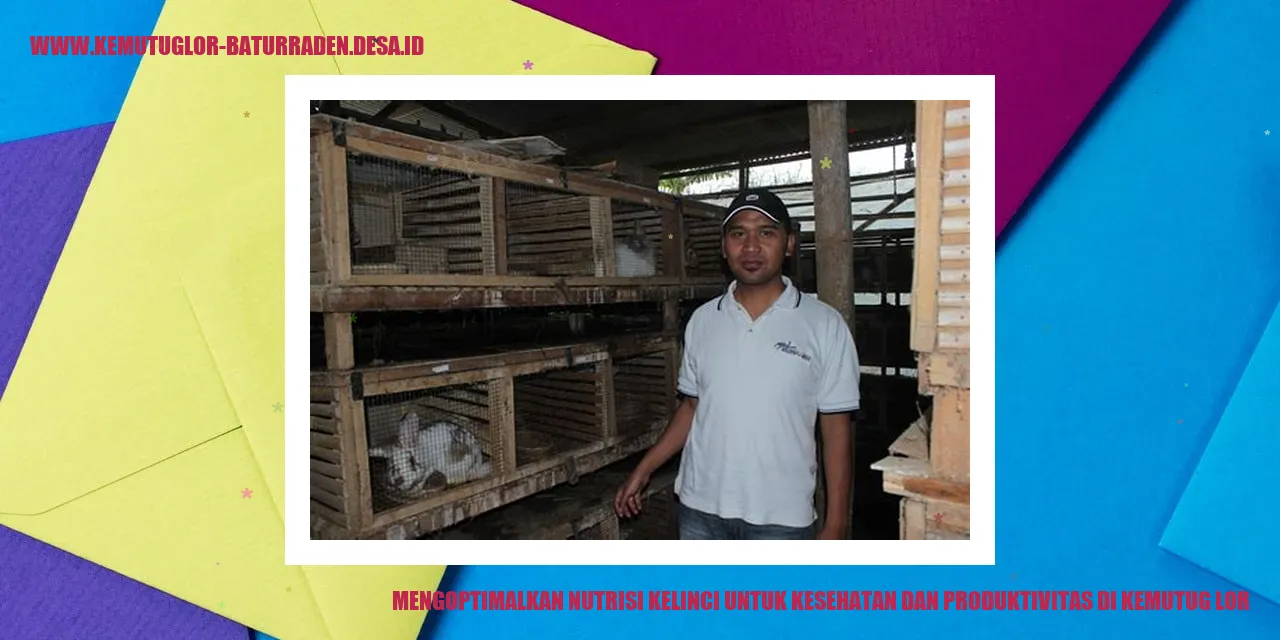 Nutrisi Kelinci di Kemutug Lor