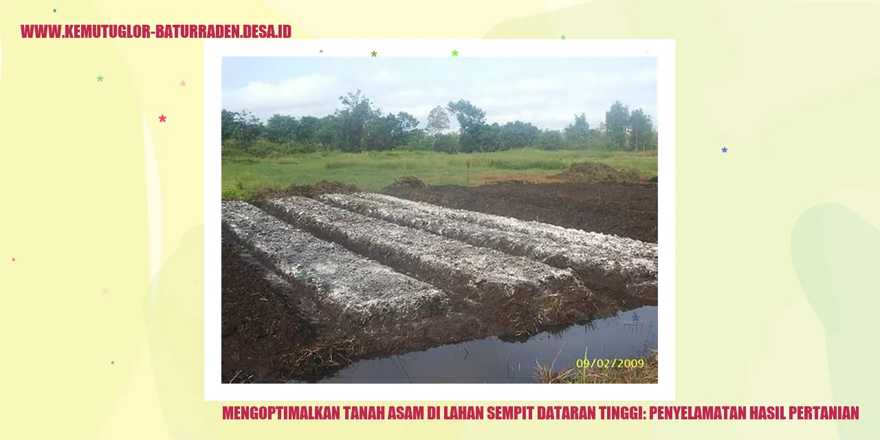 Gambar Tanah Asam
