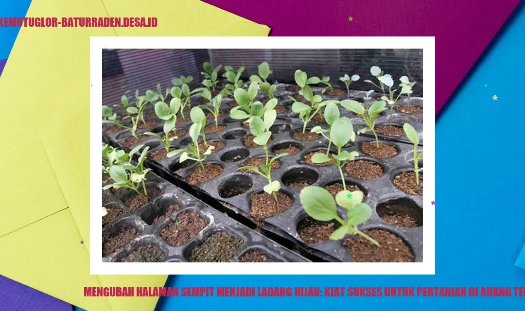 Kesimpulan