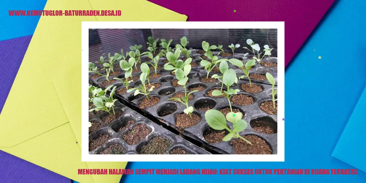 Ladang Hijau