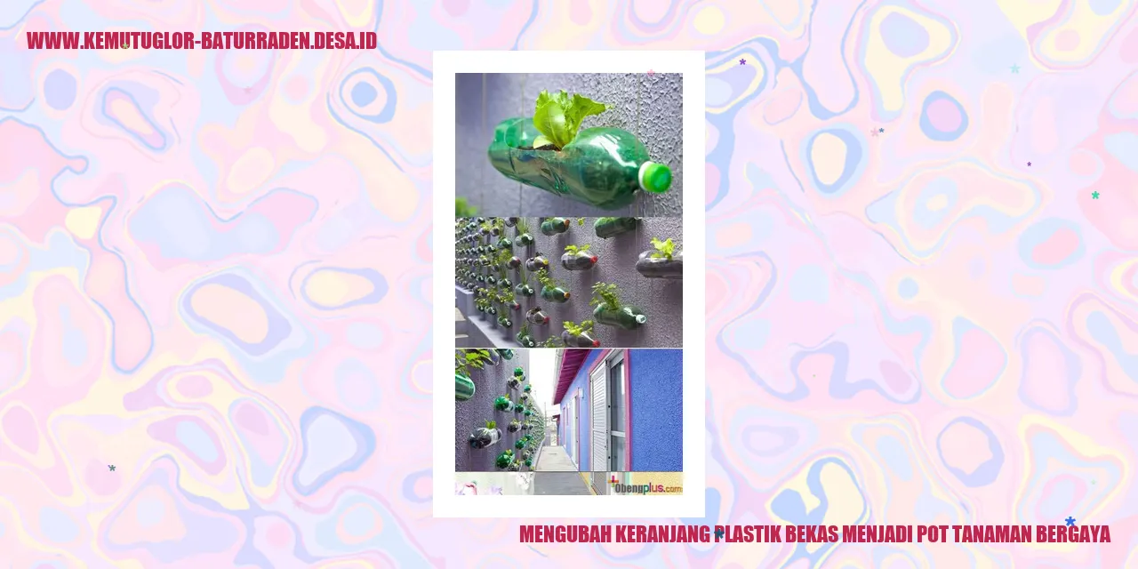 Mengubah Keranjang Plastik Bekas Menjadi Pot Tanaman Bergaya