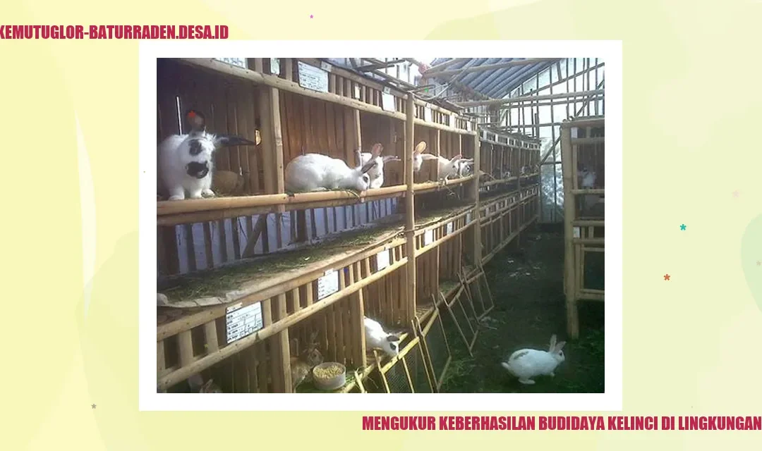 Mengukur Keberhasilan Budidaya Kelinci di Lingkungan Dingin