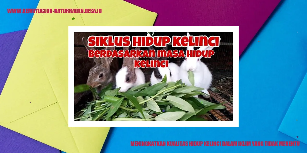 Gambar Kelinci
