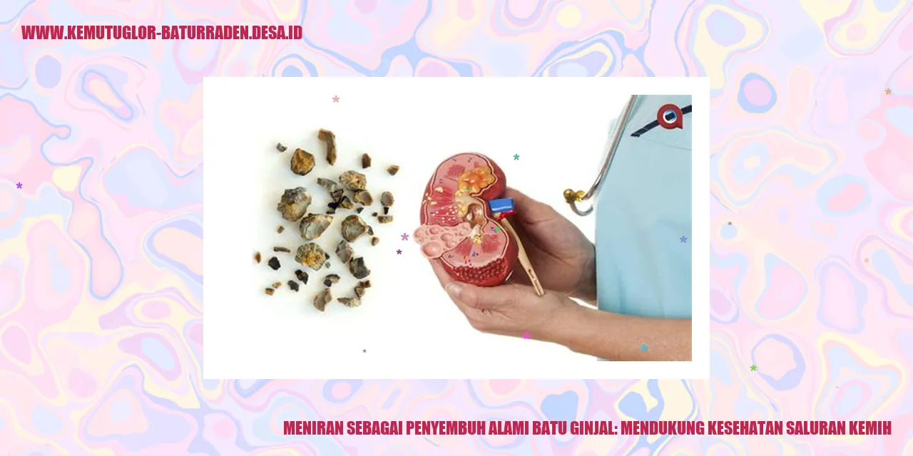 Meniran sebagai Penyembuh Alami Batu Ginjal: Mendukung Kesehatan Saluran Kemih
