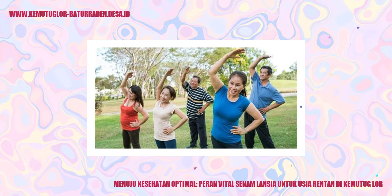 senam lansia