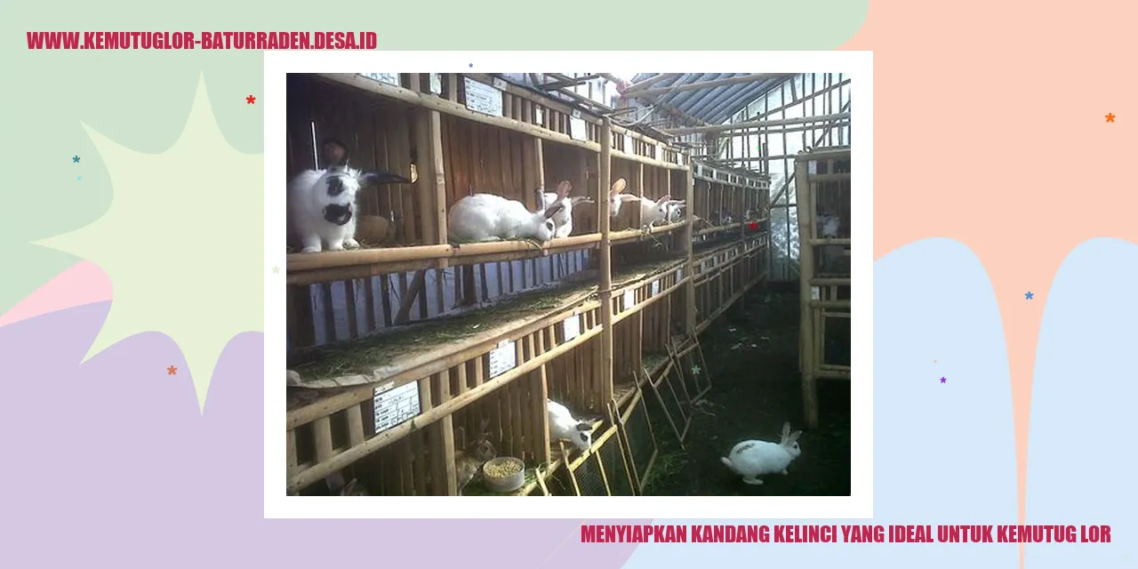Menyiapkan Kandang Kelinci yang Ideal untuk Kemutug Lor