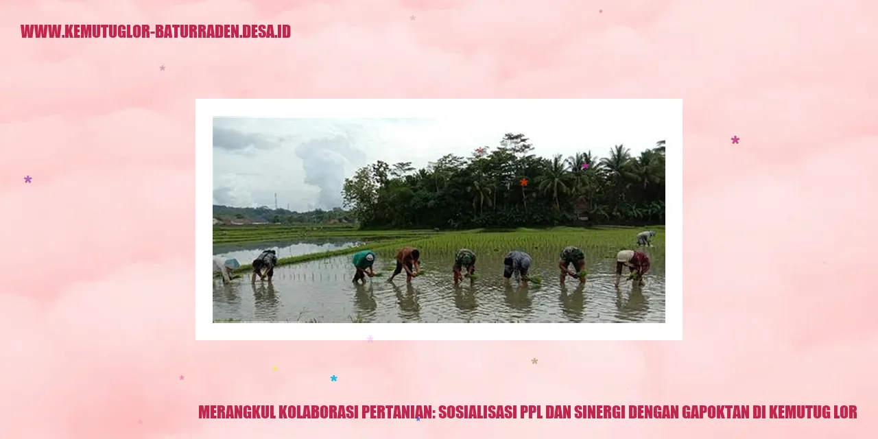 Gambar Merangkul Kolaborasi Pertanian: Sosialisasi PPL dan Sinergi dengan Gapoktan di kemutug lor