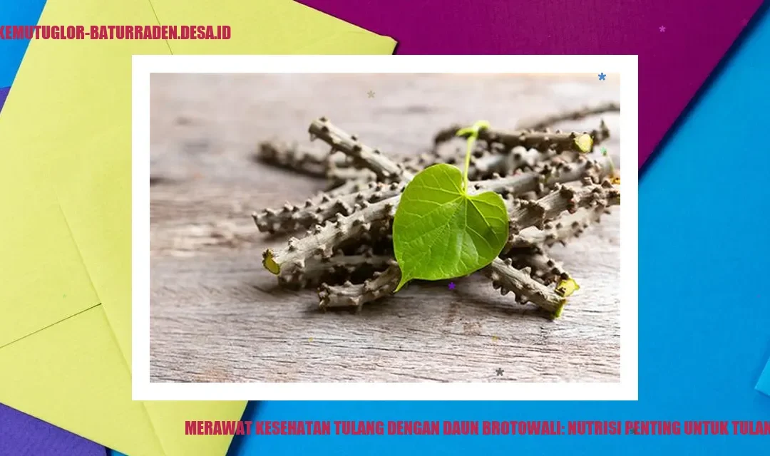 Merawat Kesehatan Tulang dengan Daun Brotowali: Nutrisi Penting untuk Tulang Kuat