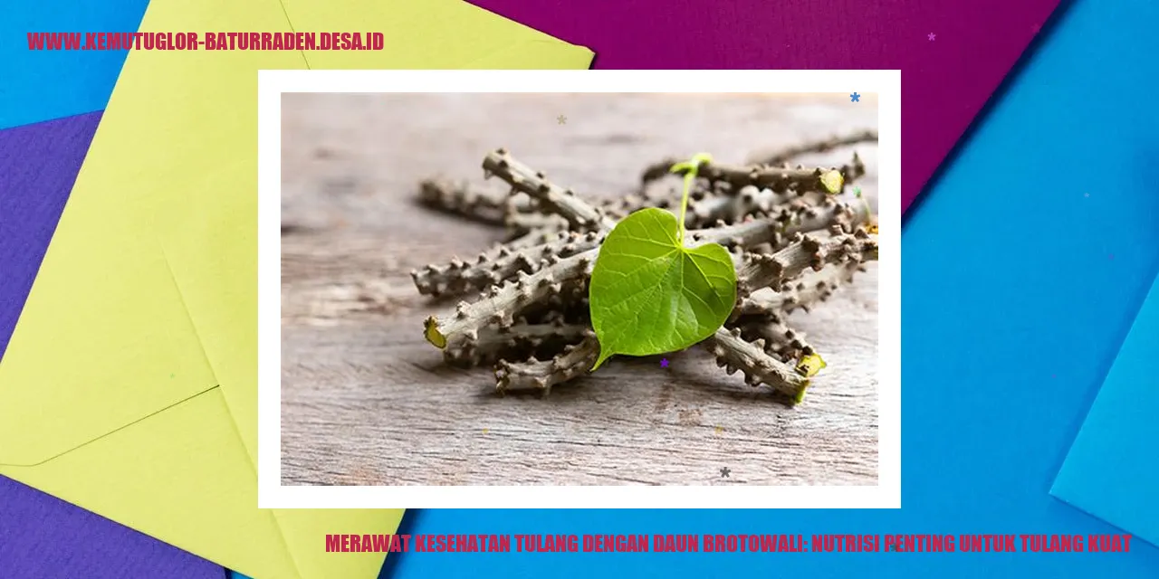 Gambar Daun Brotowali