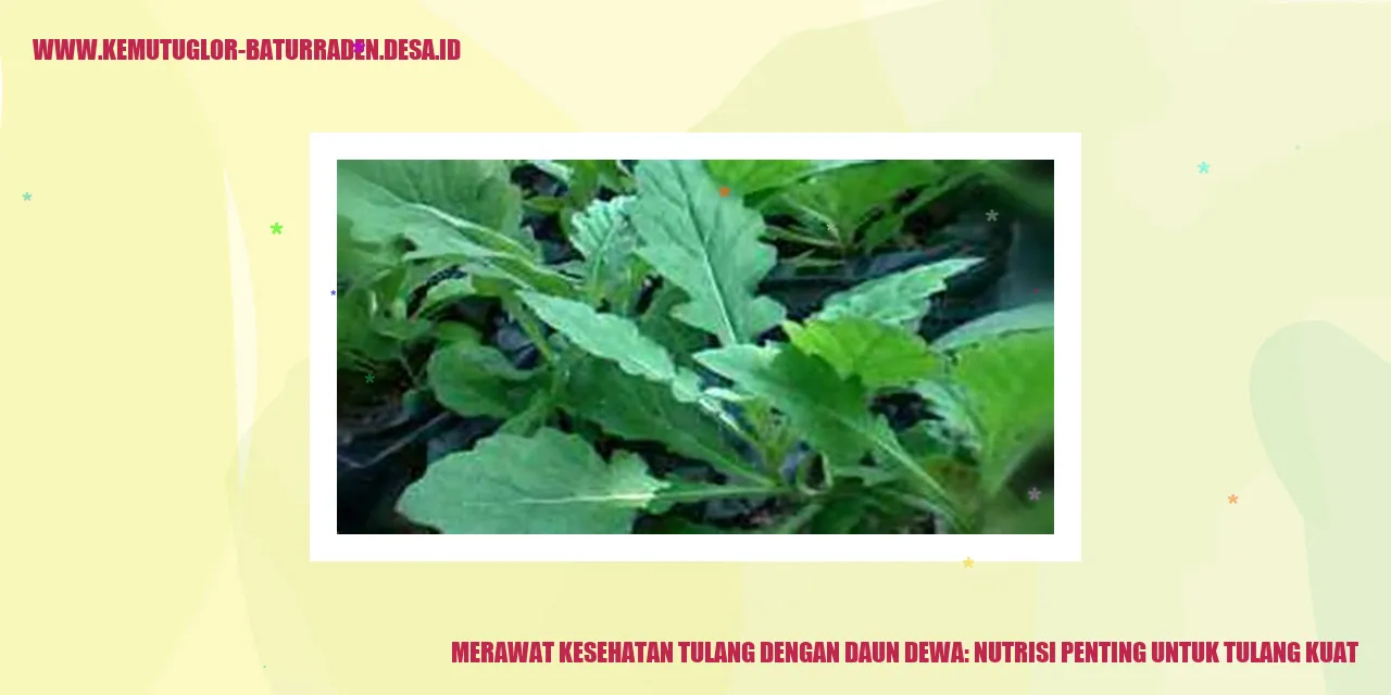 Daun Dewa