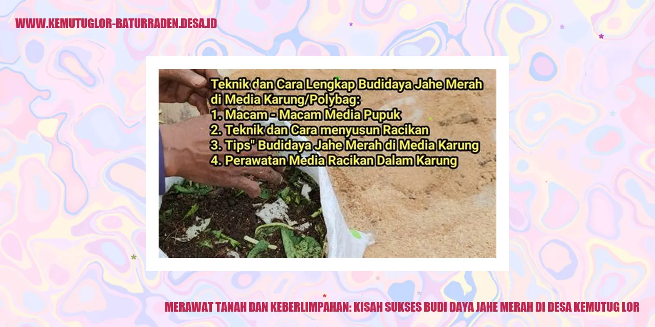 Gambar Jahe Merah di Desa Kemutug Lor