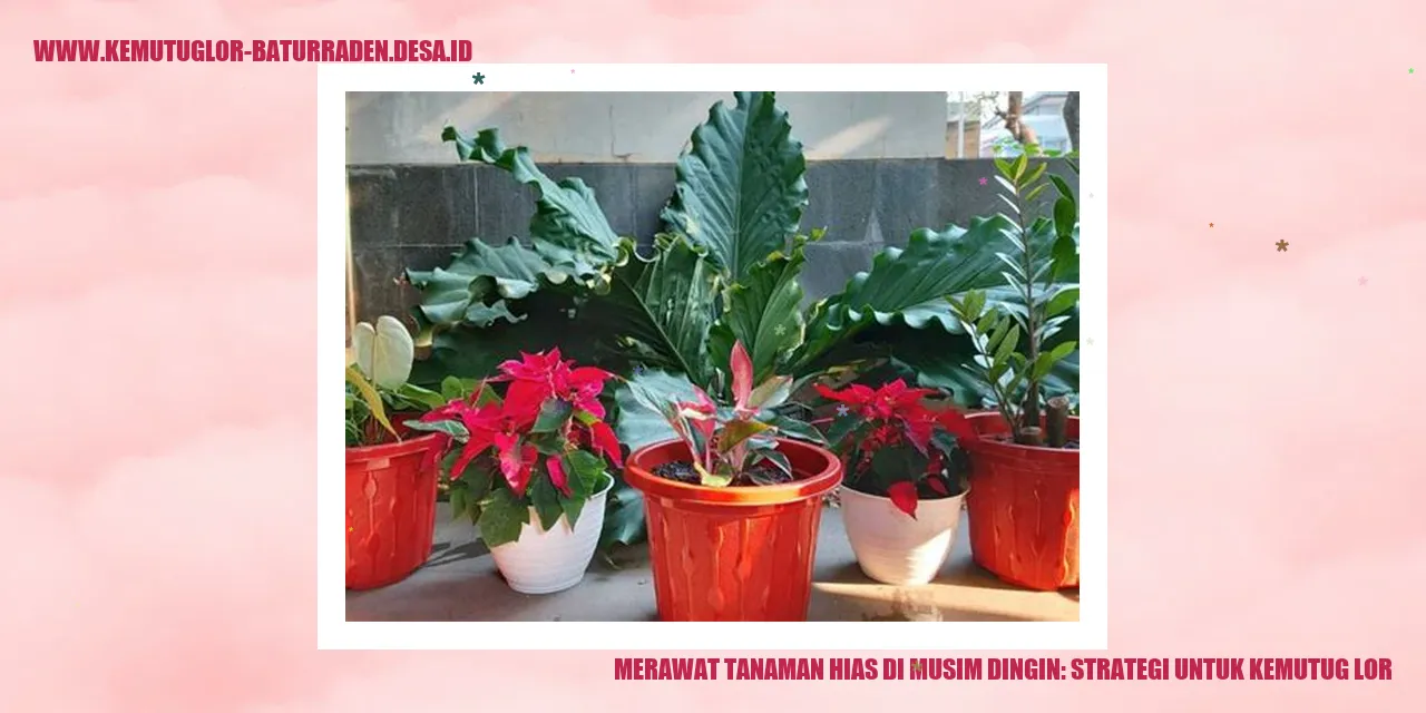 Tanaman Hias di Musim Dingin