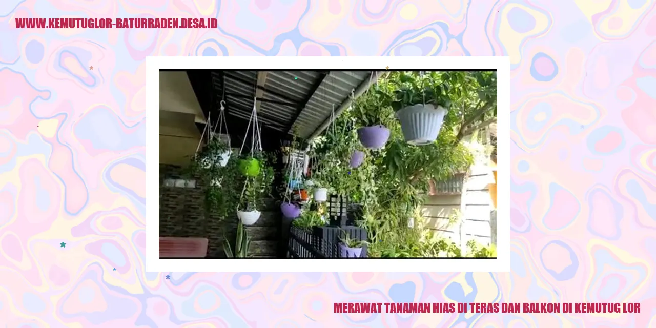 Tanaman Hias di Teras dan Balkon