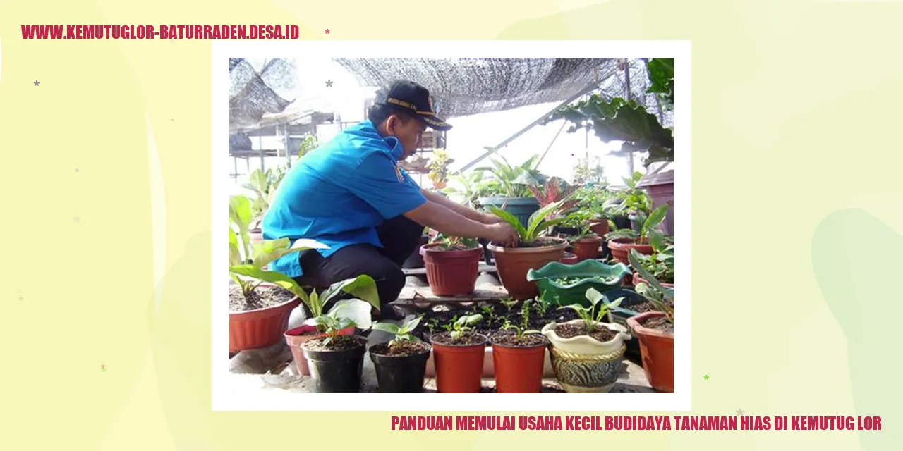 Tanaman Hias