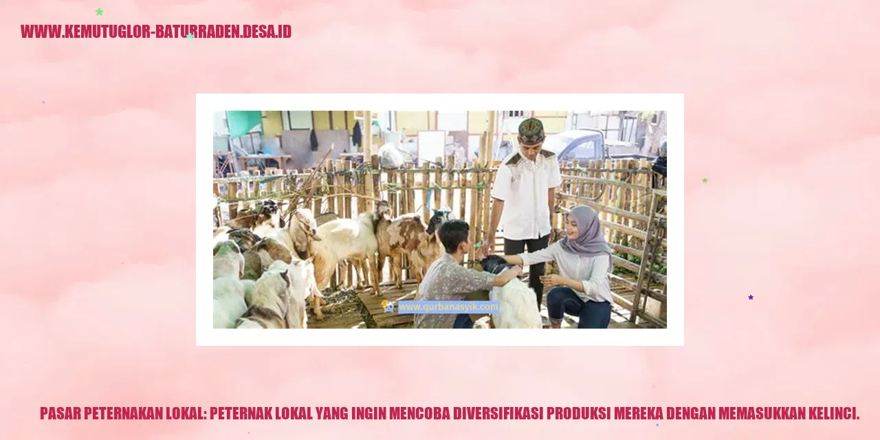 Pasar Peternakan Lokal: Peternak lokal yang ingin mencoba diversifikasi produksi mereka dengan memasukkan kelinci