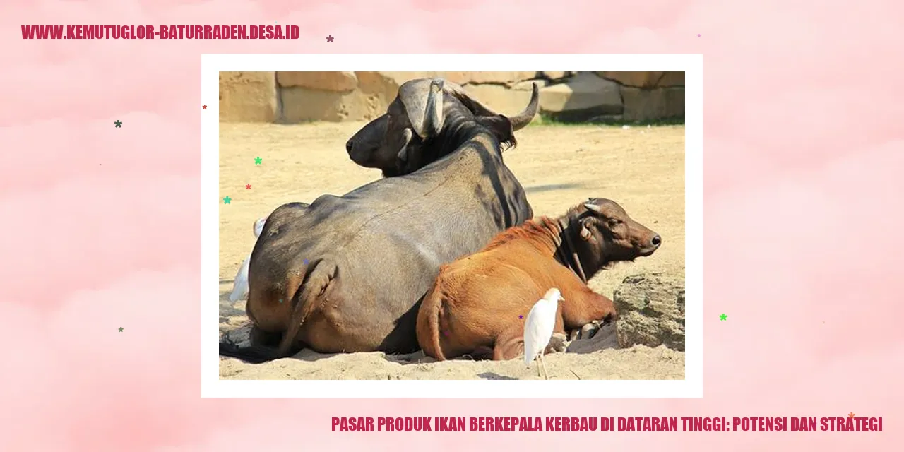 Pasar Produk Ikan Berkepala Kerbau di Dataran Tinggi: Potensi dan Strategi