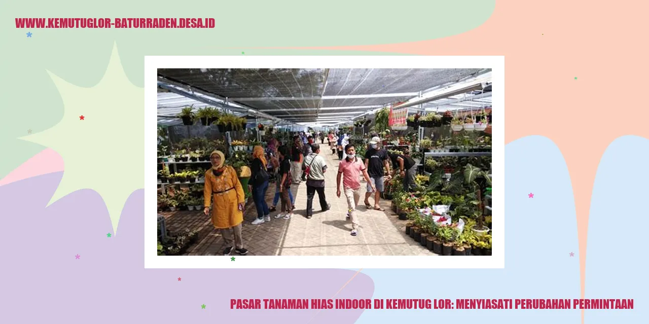 Tanaman Hias Indoor