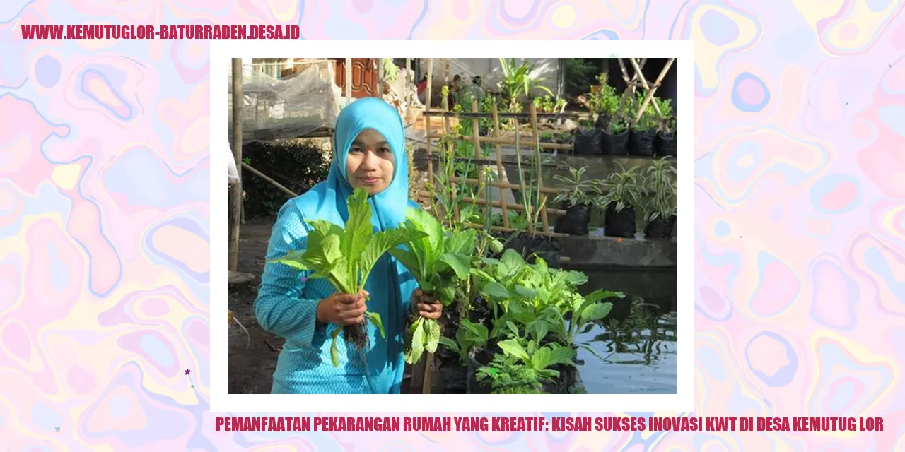 Pekarangan Rumah Sebagai Lahan Pertanian