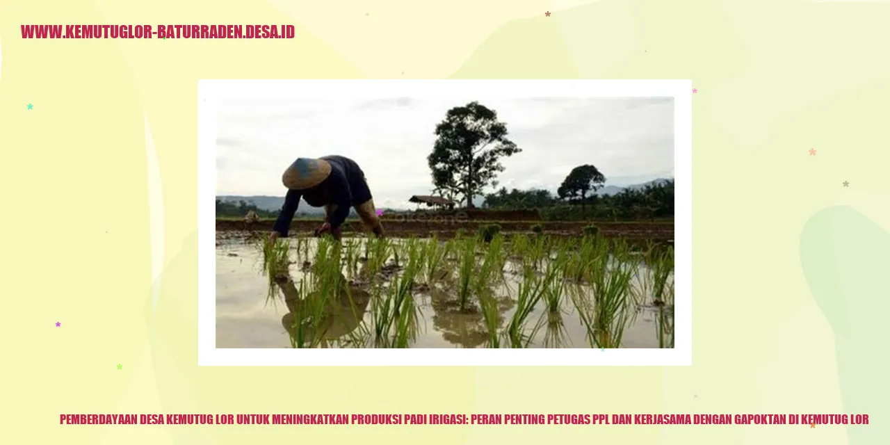Padi irigasi, sumber kehidupan Desa Kemutug Lor