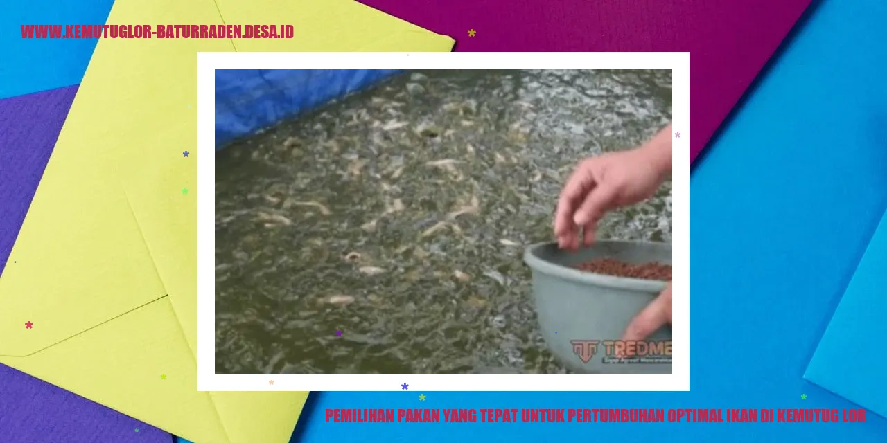 Pemilihan Pakan yang Tepat untuk Pertumbuhan Optimal Ikan di Kemutug Lor