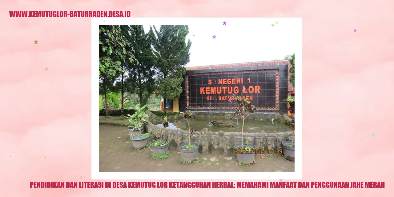 Pemanfaatan Jahe Merah