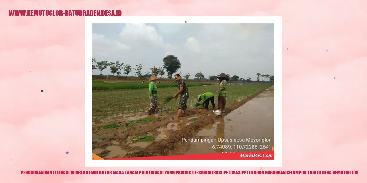 Pendidikan dan Literasi di Desa Kemutug Lor