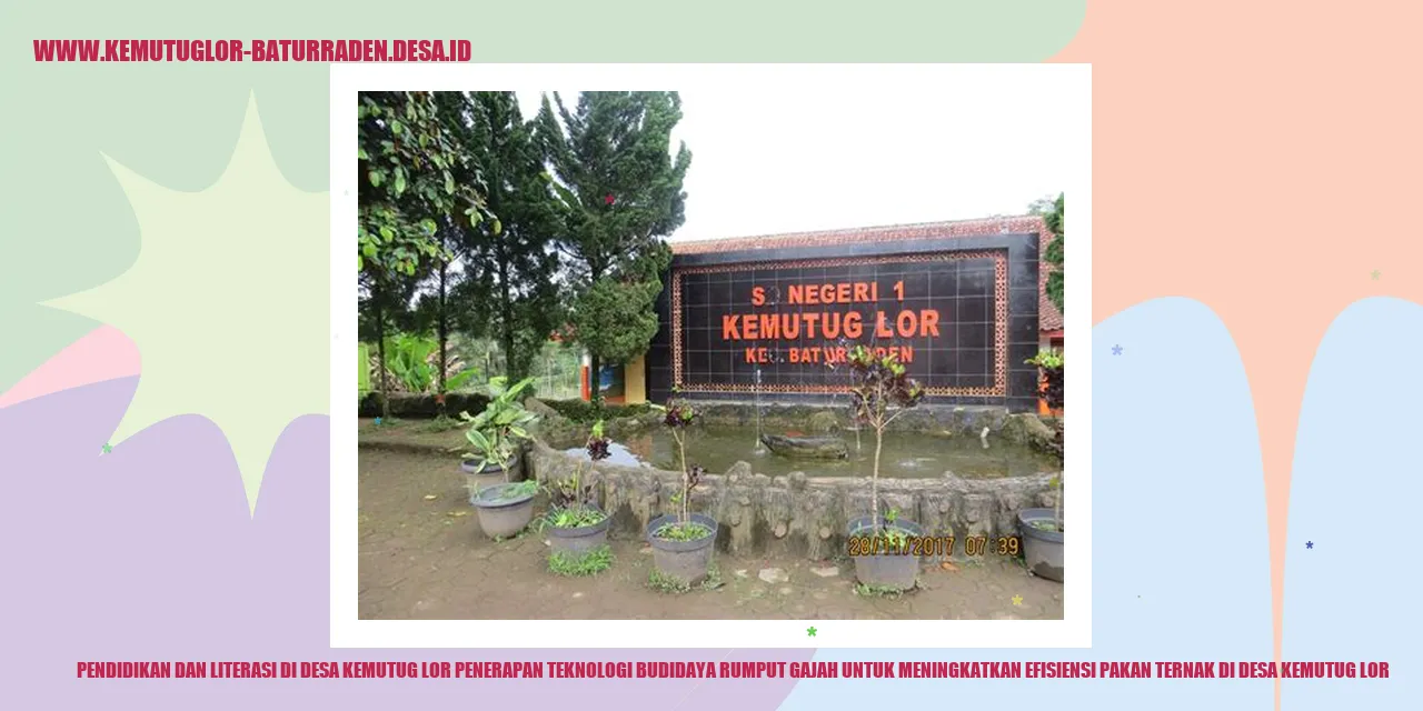 Gambar Penerapan Teknologi Budidaya Rumput Gajah