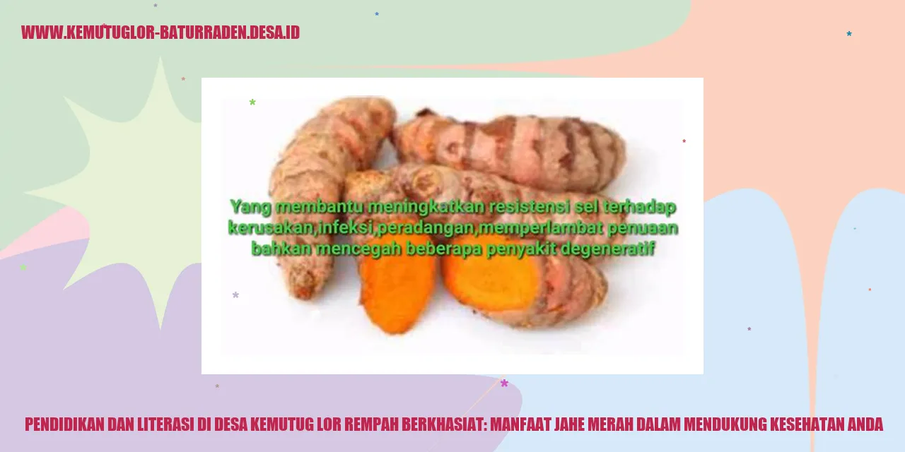 Ilustrasi Jahe Merah