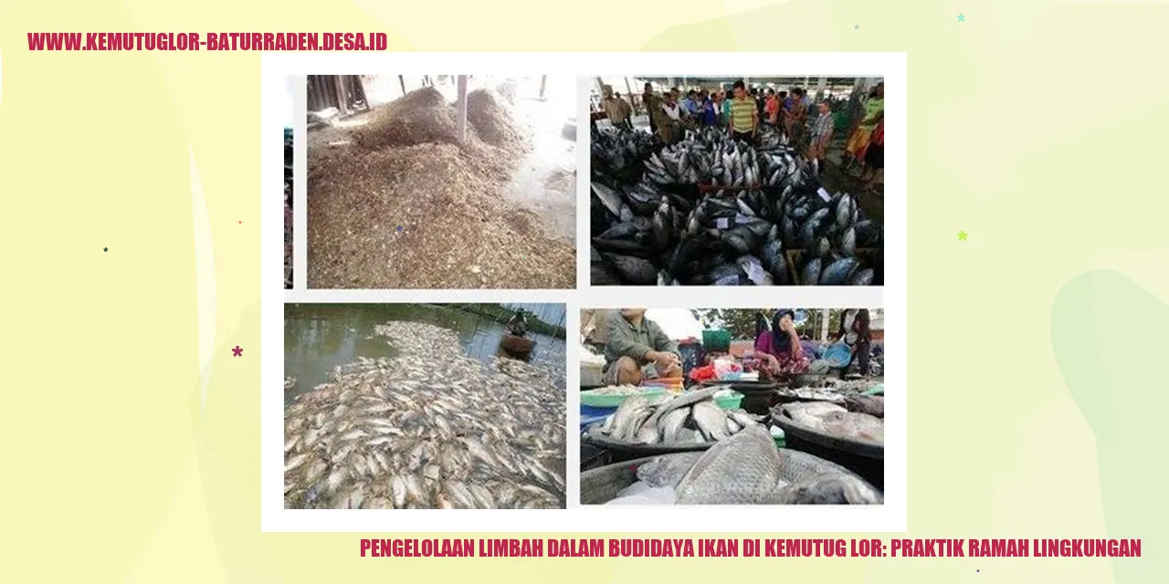 Pengelolaan Limbah dalam Budidaya Ikan di Kemutug Lor: Praktik Ramah Lingkungan