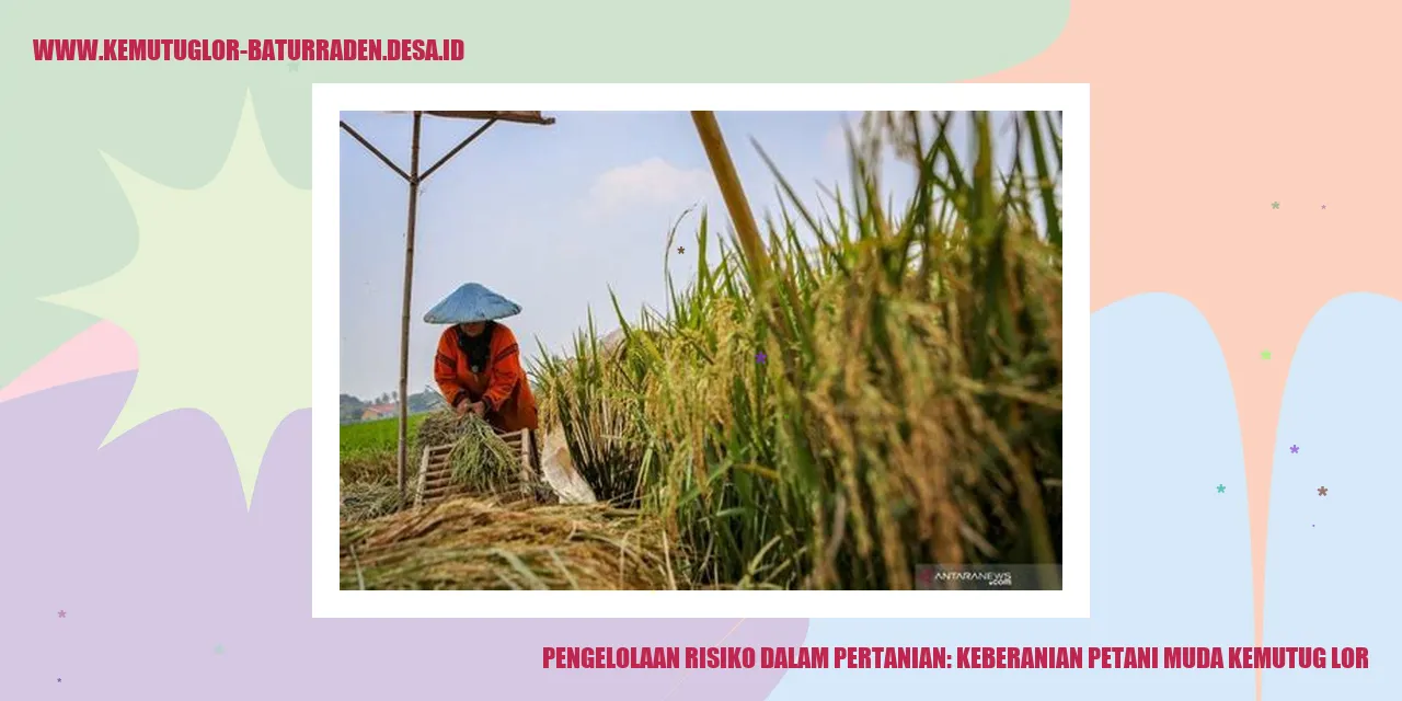 Pertanian di Desa Kemutug Lor