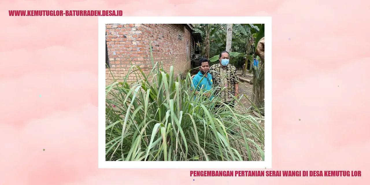 Gambar Desa Kemutug Lor