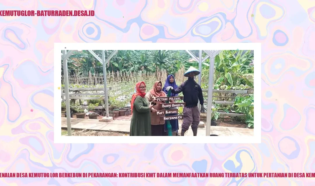 Memanfaatkan Ruang Terbatas untuk Berkebun
