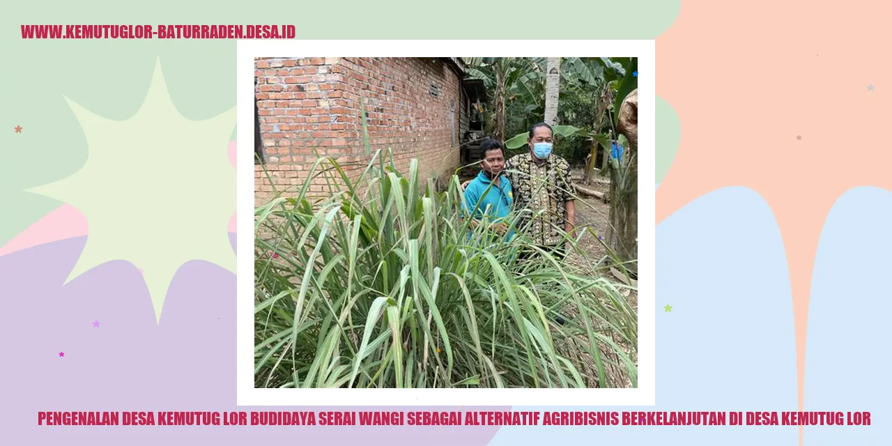 Pengenalan Desa Kemutug Lor Budidaya Serai Wangi sebagai Alternatif Agribisnis Berkelanjutan di desa kemutug lor