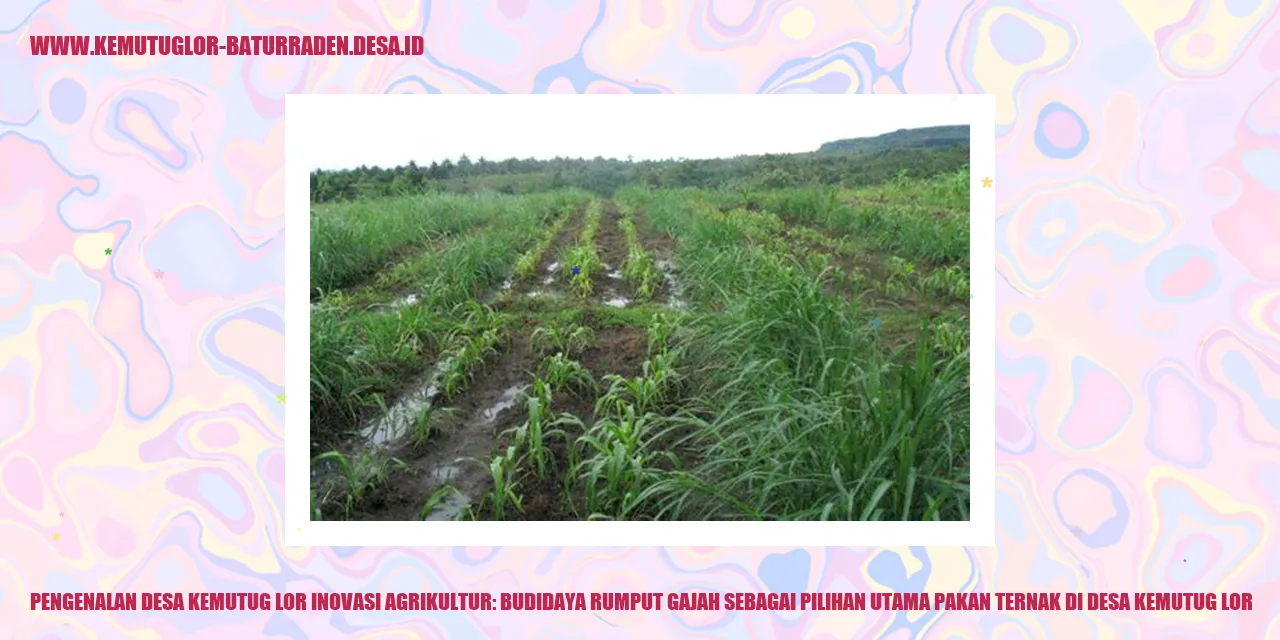 Desa Kemutug Lor Inovasi Agrikultur