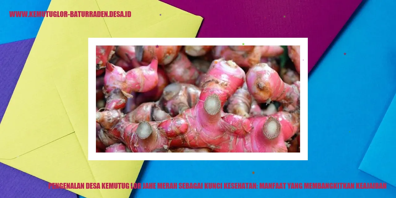 Desa Kemutug Lor Jahe Merah